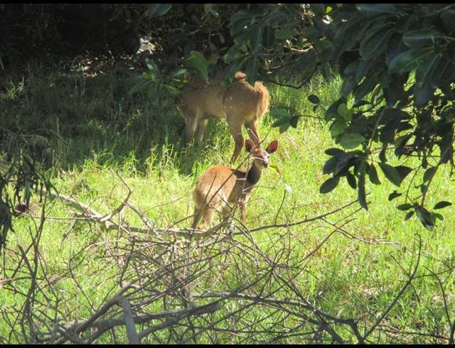 LAND FOR SALE IN DANA BAY